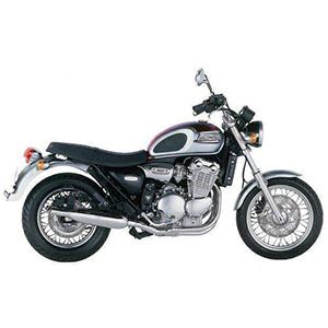 TRIUMPHTHUNDERBIRD 900 (95-03)