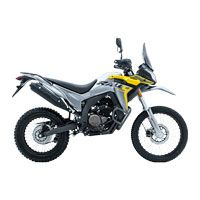 VOGE300 RALLY