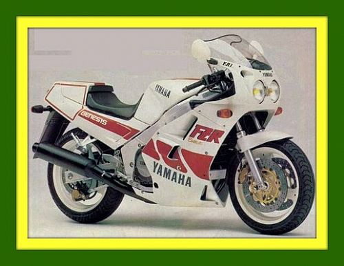 YAMAHAFZR1000 (87-88)