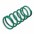 Green Variator Adjuster Spring Malossi 2914401.G0 MALOSSI