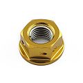 Pro-Bolt Παξιμάδι Διάτρητο Για Γρανάζια M10x(1.25mm) Χρυσό