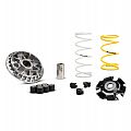 Βαριατόρ (multivar) MALOSSI Για Honda PCX 125 18-20 MALOSSI