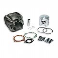 3111374  Kit Cast-Iron Cylinder 57.5 mm  MALOSSI MALOSSI
