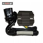 REGULATOR HONDA CBR900 RR ( 954 )