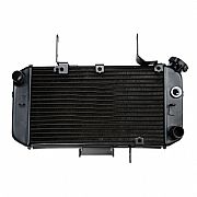 Cooling System Suzuki DL650 V-Strom 04-11