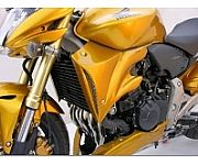 Προστατευτικά καπάκια ψυγείου Set της ERMAX για CB600 HORNET 2007-2010 άβαφα (μαύρα) βαμένα στο χρώμα της HONDA