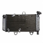 Cooling System Yamaha XT660