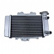 Water Cooling System Honda SH150 05-12