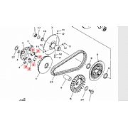 Αντίβαρα (ράουλα 6Pcs) φυγοκεντρικού γνήσια YAMAHA X-MAX 300
