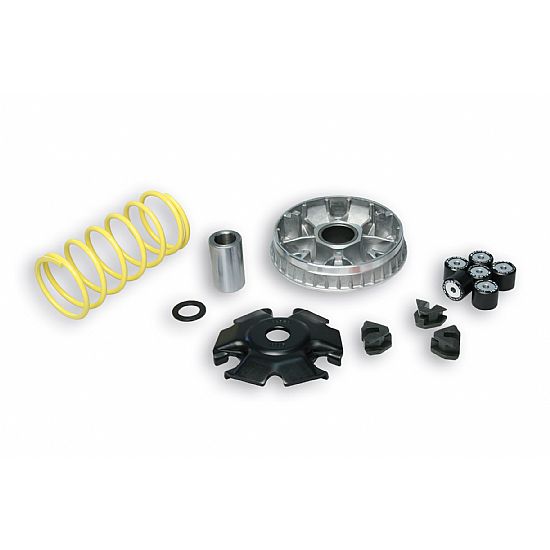 VARIATOR (MULTIVAR) MALOSSI SYM HD125 EURO MX125 NEW CODE: 5118659